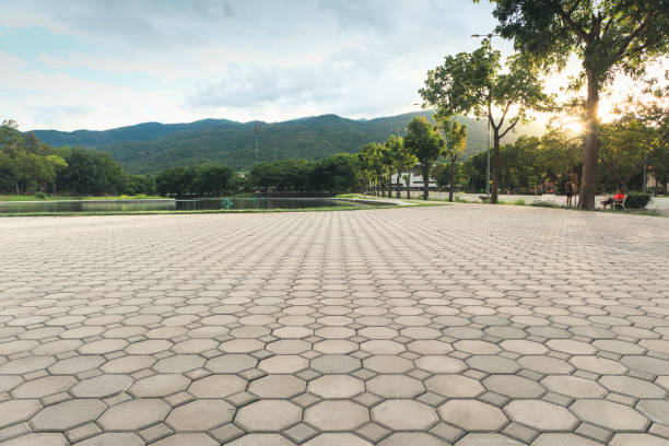 Best Commercial Driveway Pavers  in Petaluma, CA