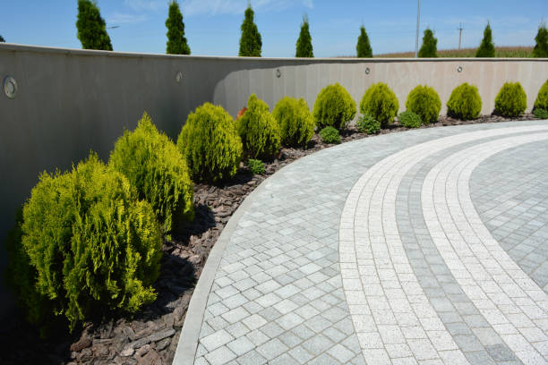 Best Best Driveway Pavers  in Petaluma, CA