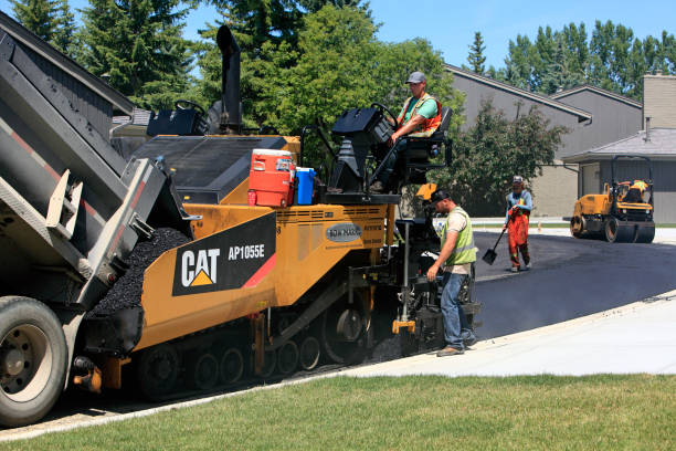 Best Driveway Paving Contractor  in Petaluma, CA